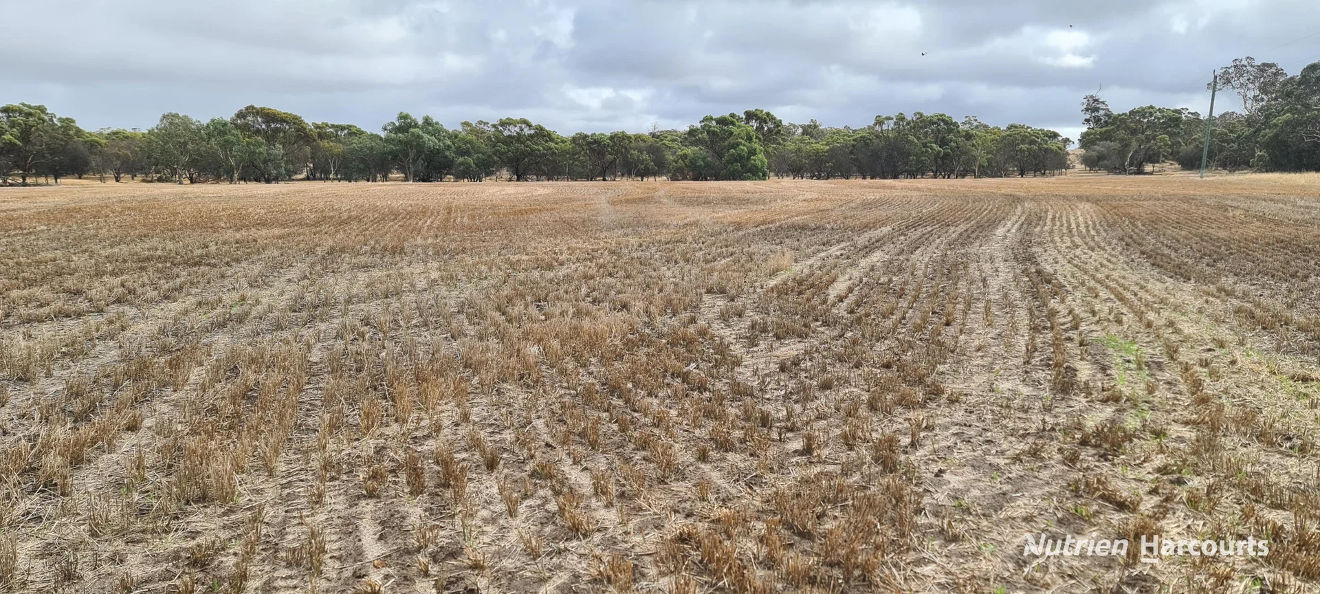 Additional image 14 of Lot 347 Yarralena Road, Cranbrook WA 6321