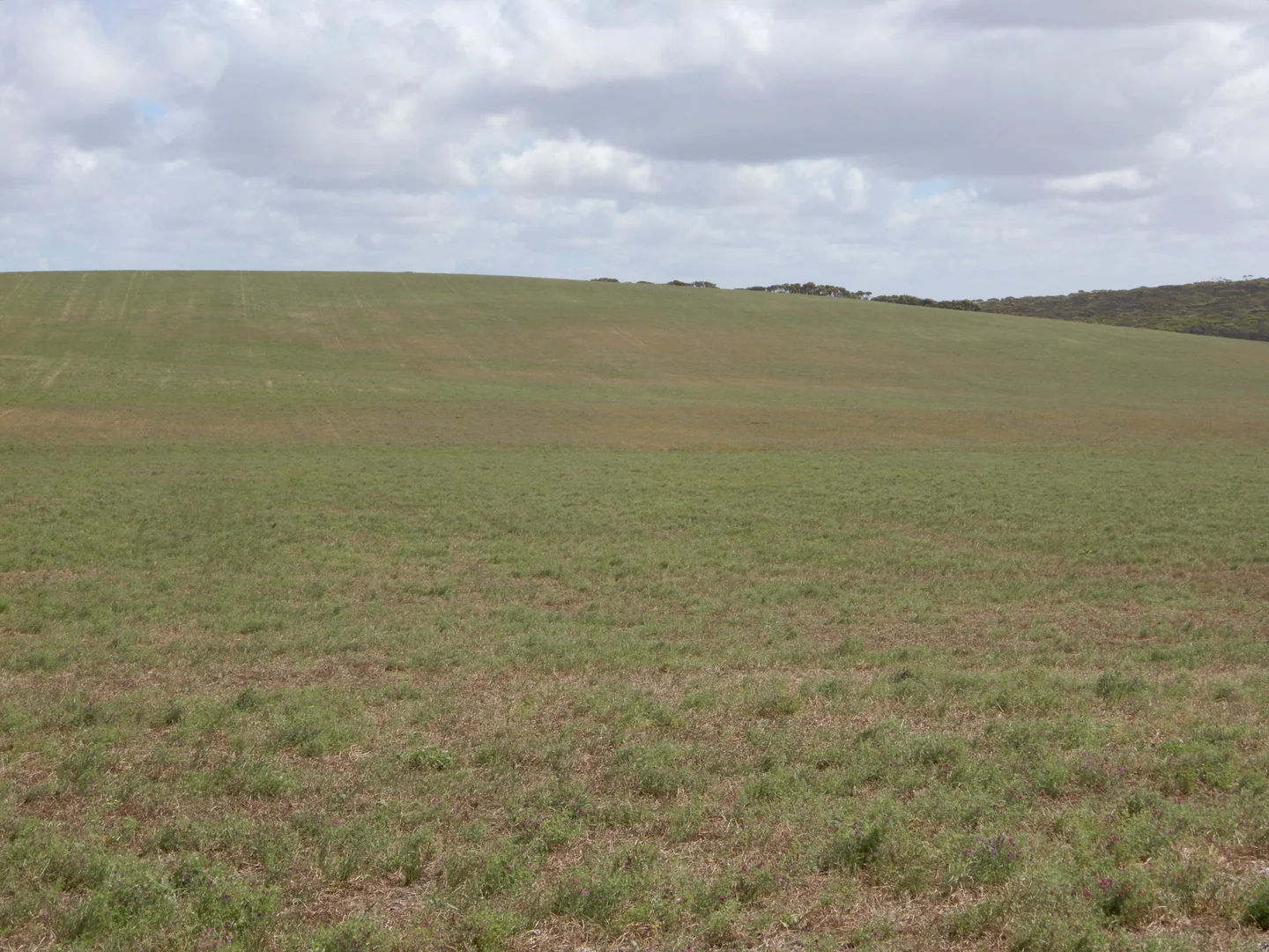 Additional image 8 of 33 Lutze Road, Coonalpyn SA 5265
