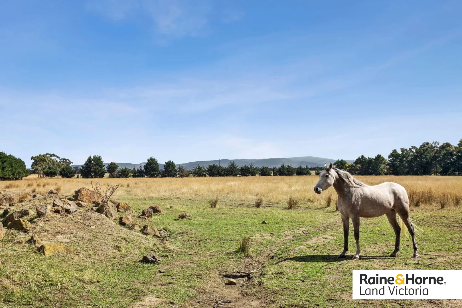 Additional image 5 of 472 Boggy Gate Road, Clarkefield VIC 3430