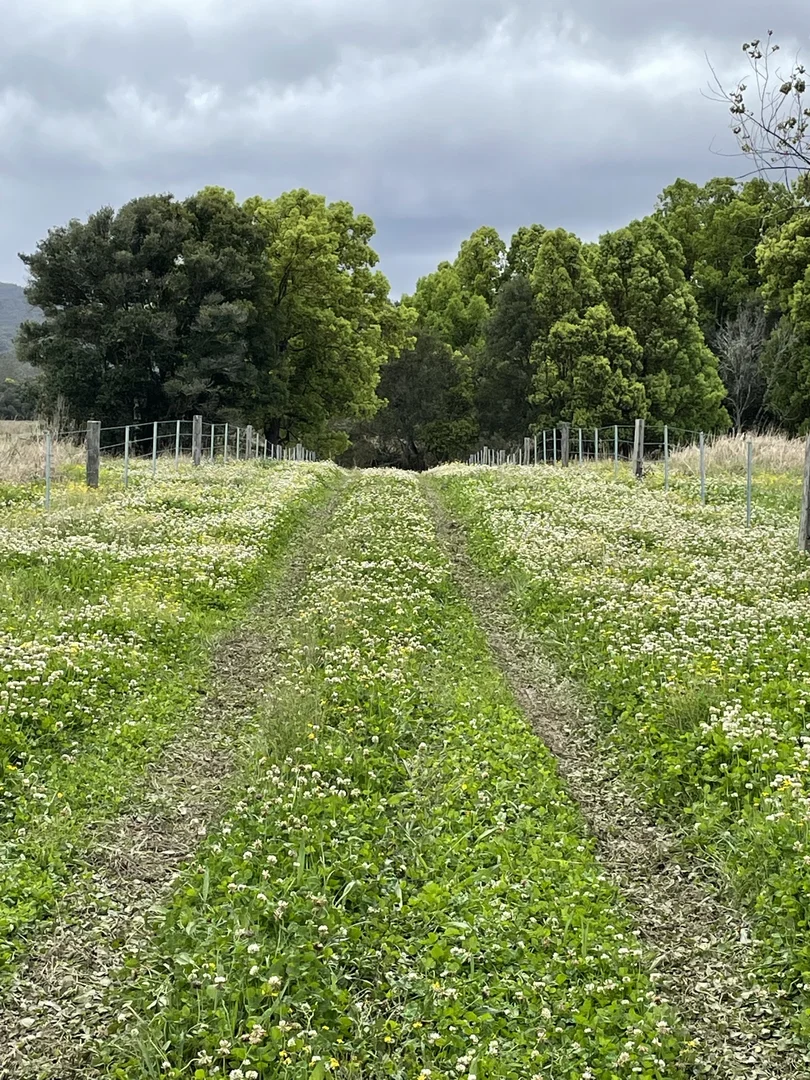 Additional image 27 of 1554 & 1598 Rollands Plains Road, Rollands Plains NSW 2441