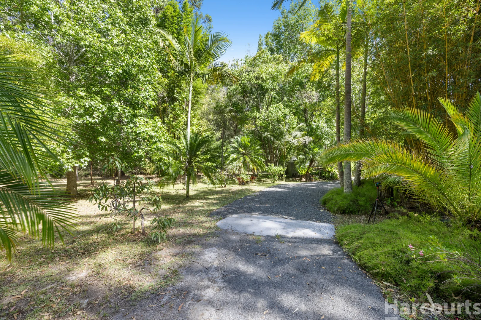 Additional image 25 of 600 Smiths Creek Road, Kundabung NSW 2441