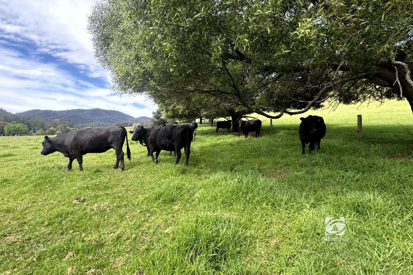 Additional image 24 of 2825 Combienbar Road, Combienbar VIC 3889