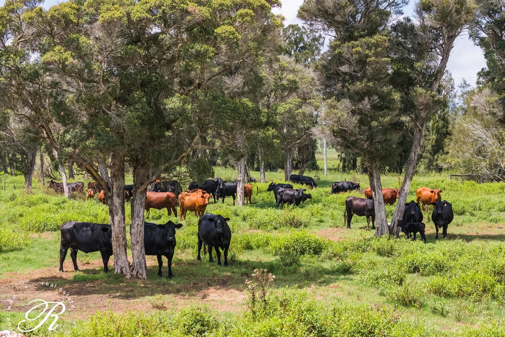 Additional image 8 of 4 Killaloe Lane, East Seaham NSW 2324