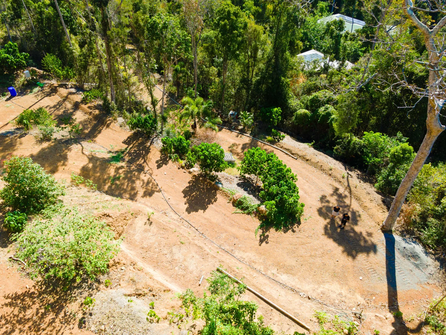 Additional image 8 of Lot 6/89 Timberland Road, Jubilee Pocket QLD 4802