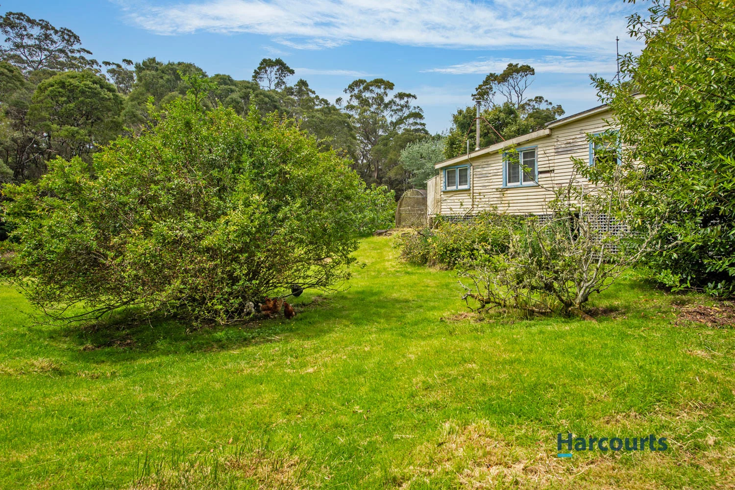 Additional image 18 of 3 Vivian Street, Strahan TAS 7468