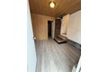 Additional image 10 of 238 Wiley St, Brentwood, NY, 11717