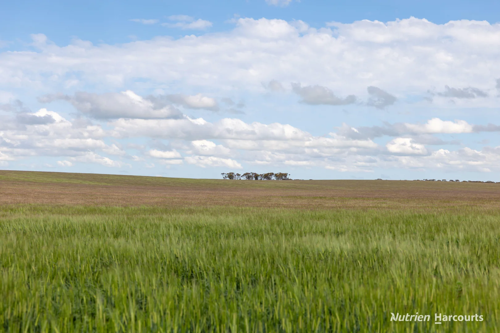 Additional image 7 of . Rollond Road, Cascade WA 6450