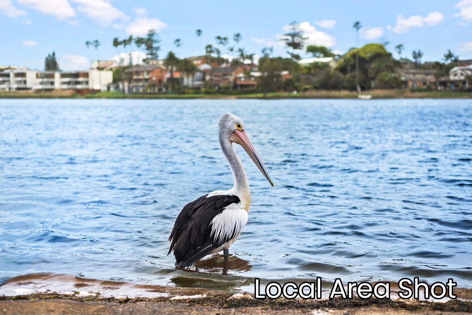 Additional image 11 of 9 Seaview Parade, North Narrabeen NSW 2101