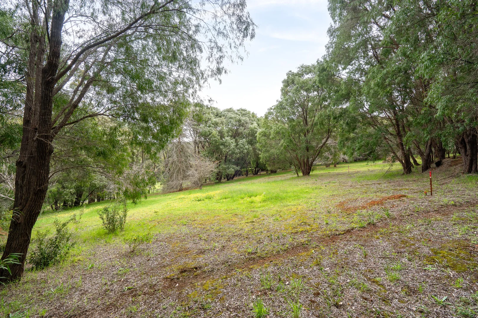 Additional image 8 of PL 602/169 Kevill Road, Margaret River WA 6285
