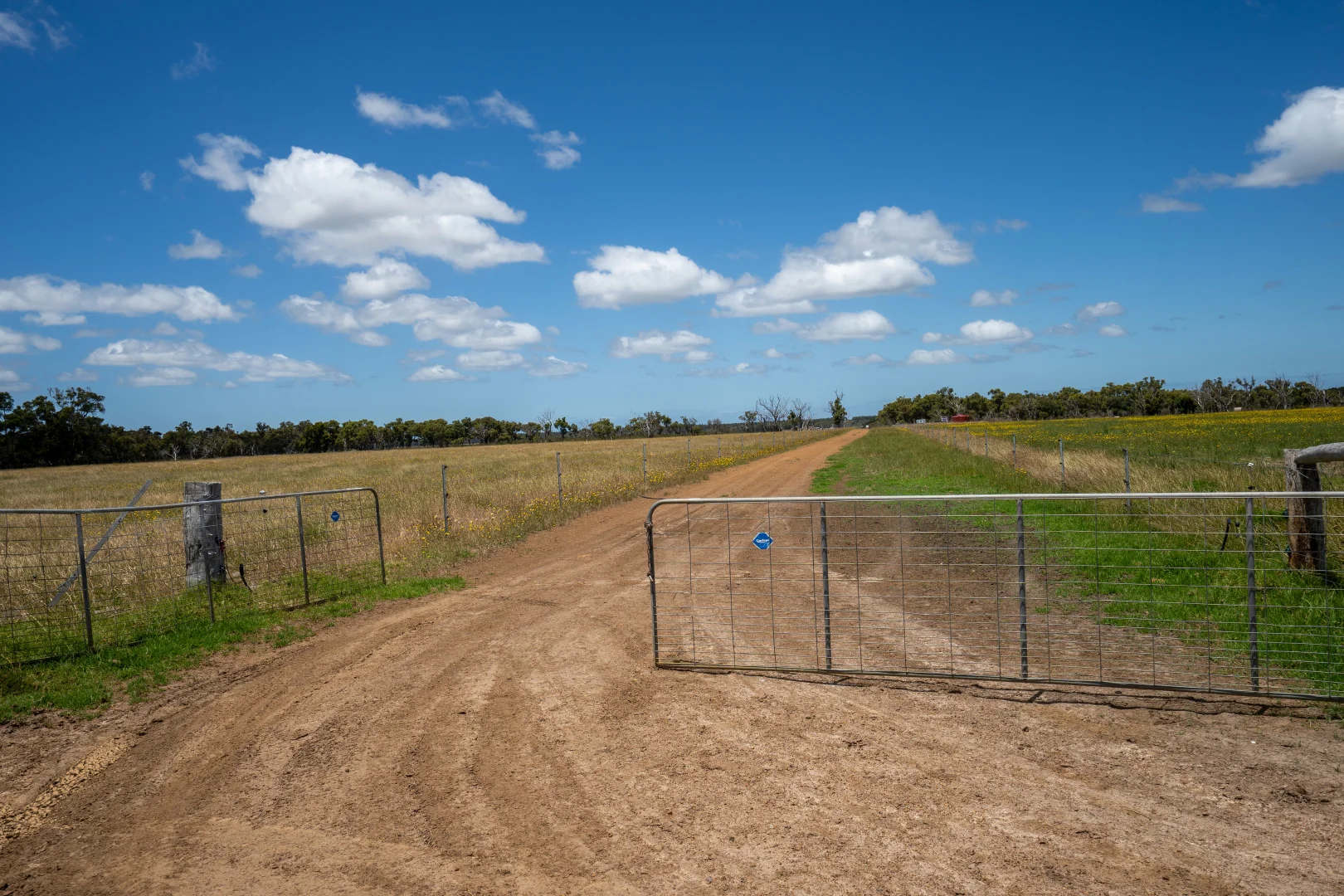 Additional image 18 of Lot 474 Yellanup Road, Narrikup WA 6326