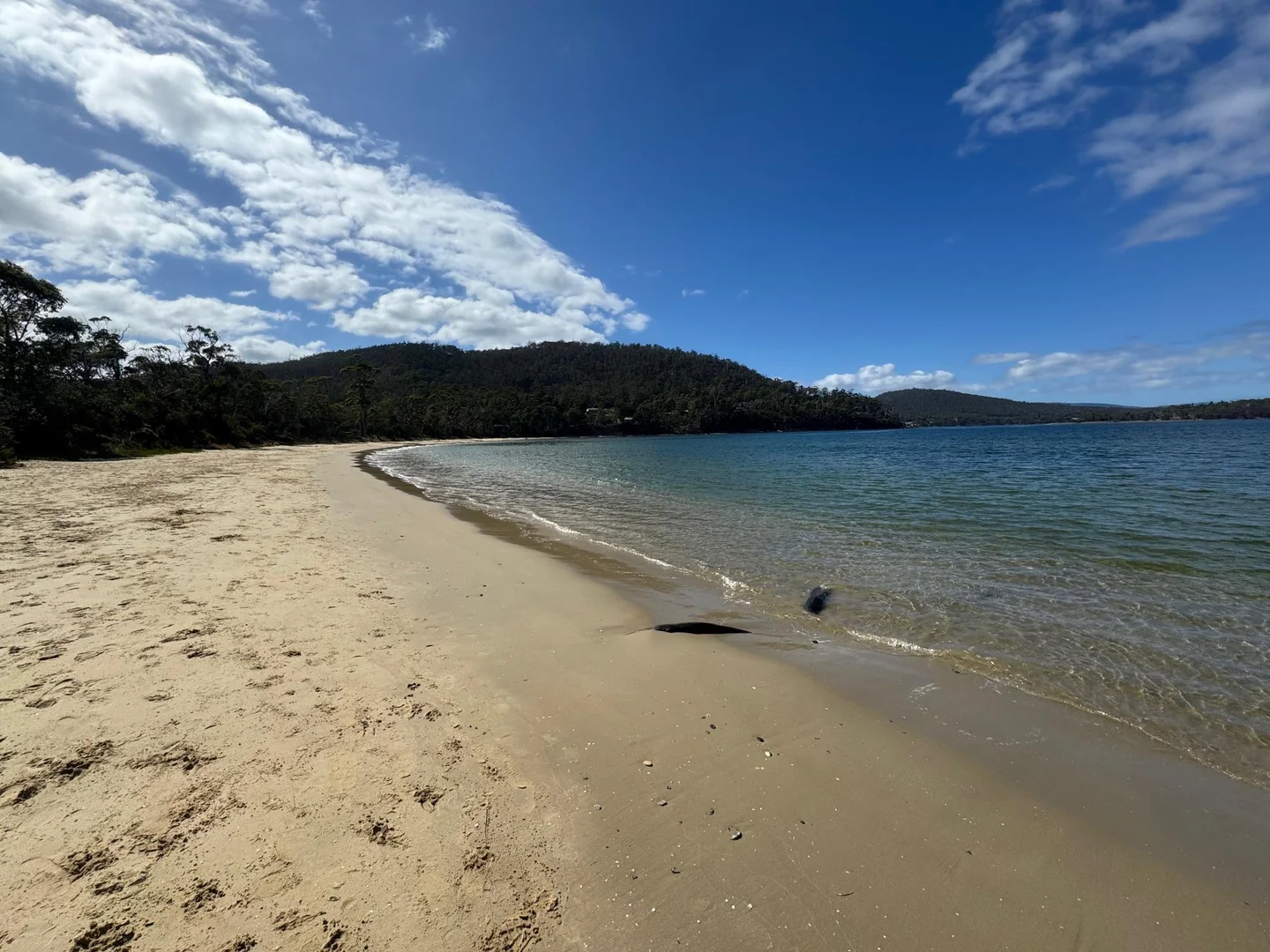 Additional image 27 of 5c Glovers Road, Deep Bay TAS 7112