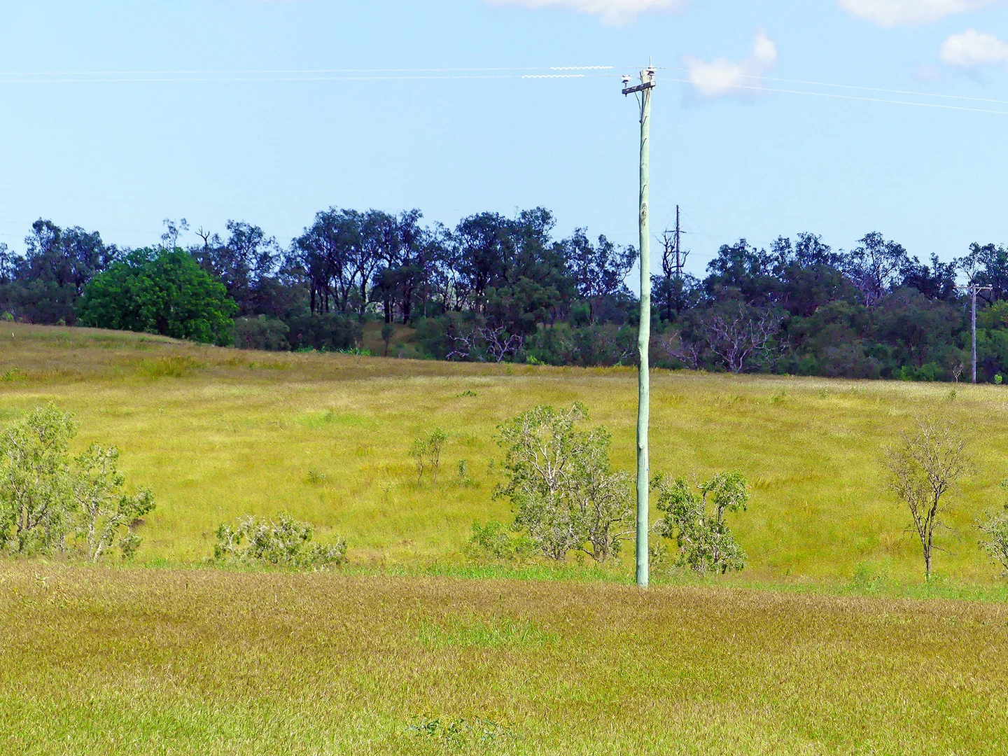 Additional image 34 of 0 'Spring Creek' Capricorn Highway, Westwood QLD 4702