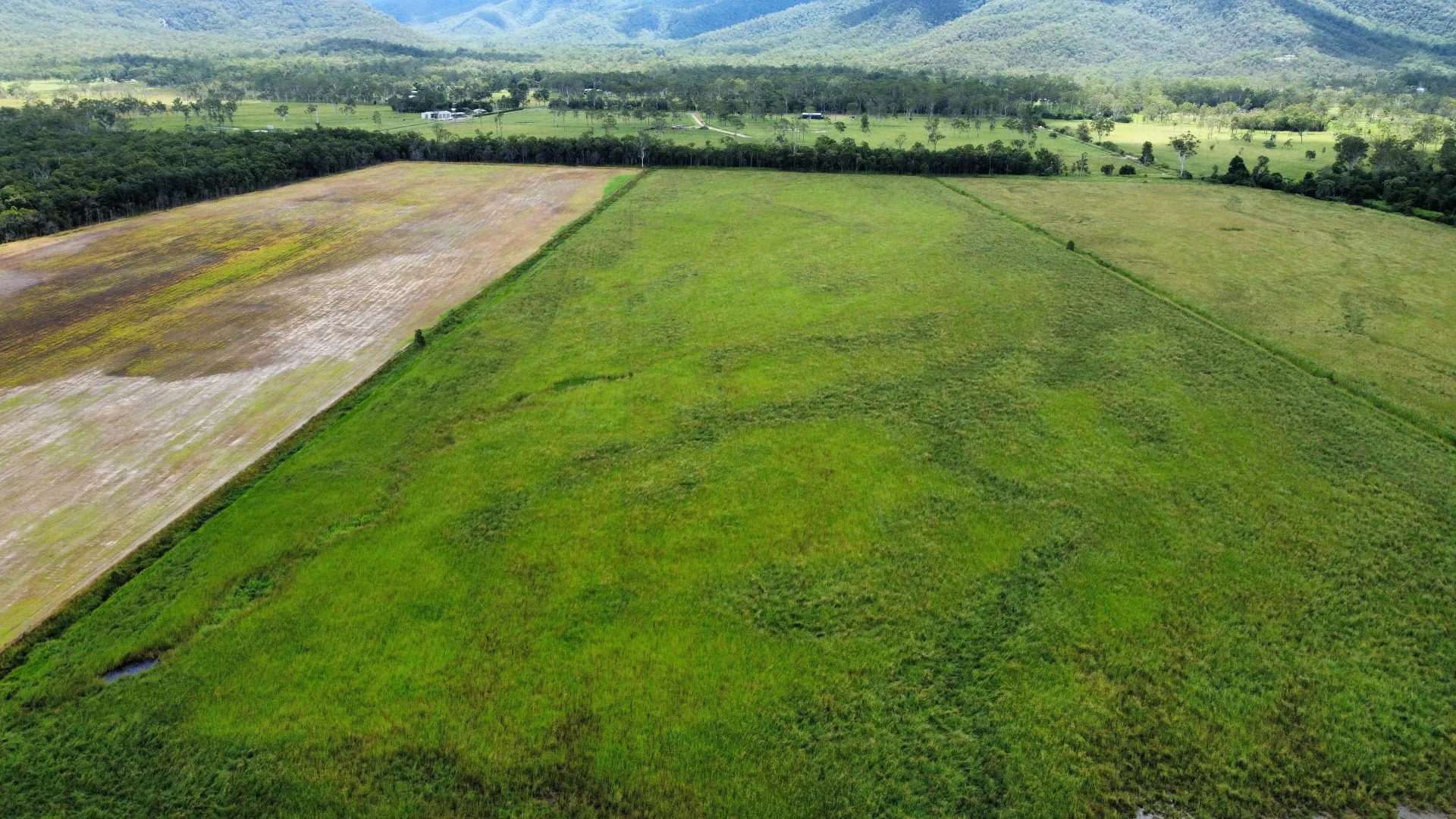 Additional image 6 of Carrington QLD 4883