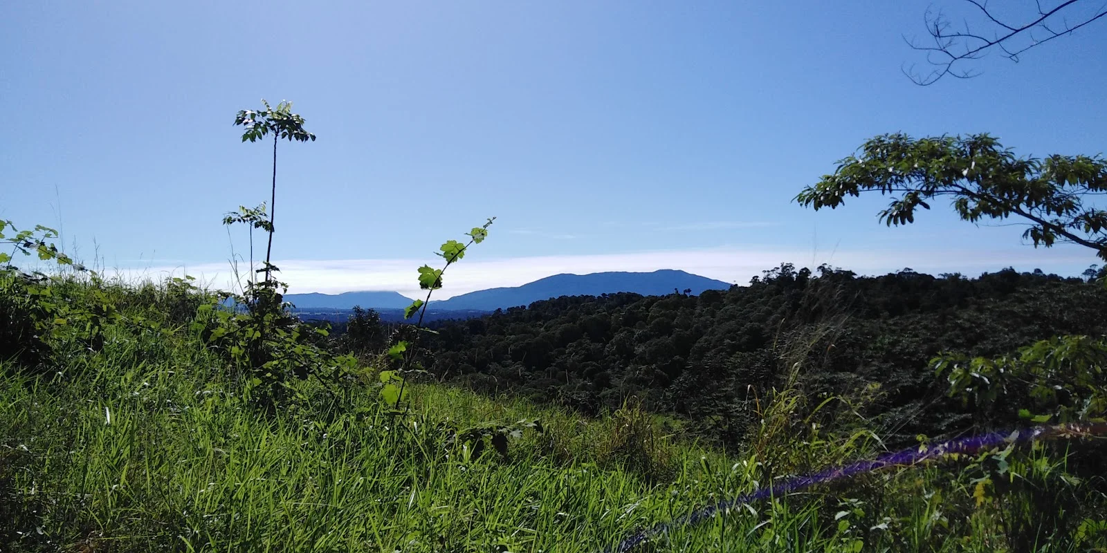 Additional image 16 of Lot 213 Kelly Road, Ellinjaa QLD 4886