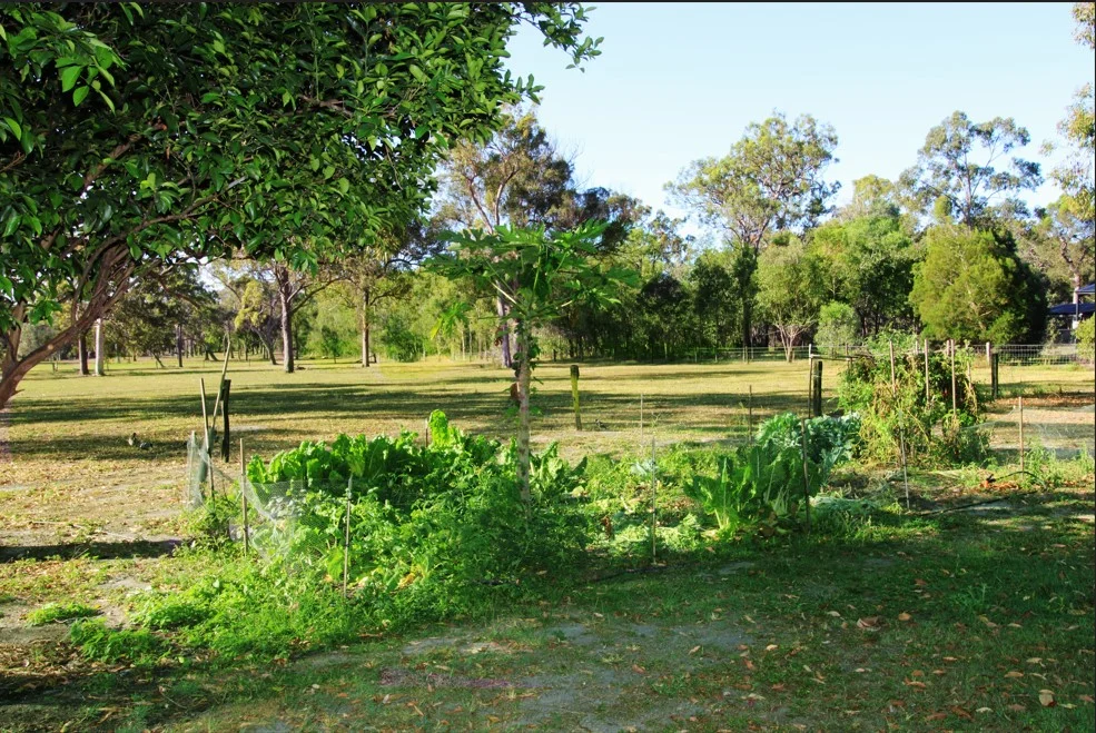 Additional image 39 of 670 Coonarr Rd, Coonarr QLD 4670