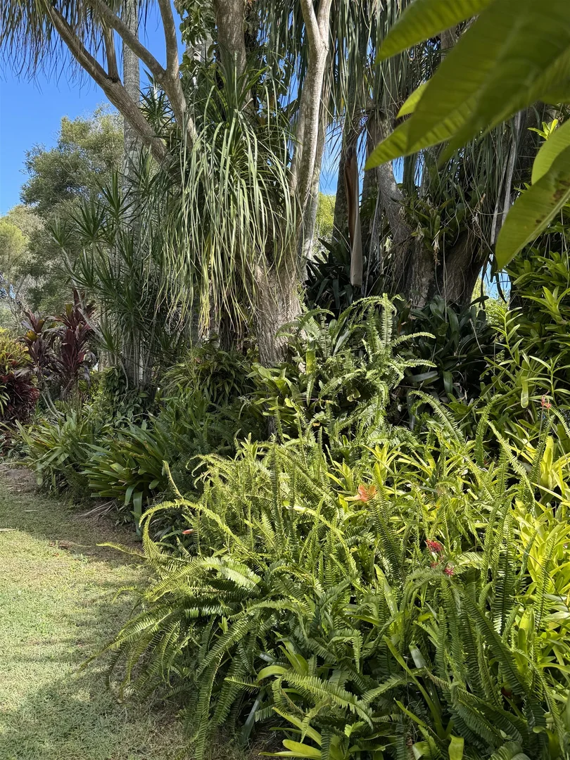 Additional image 23 of 42 Worendo St, Wiangaree NSW 2474