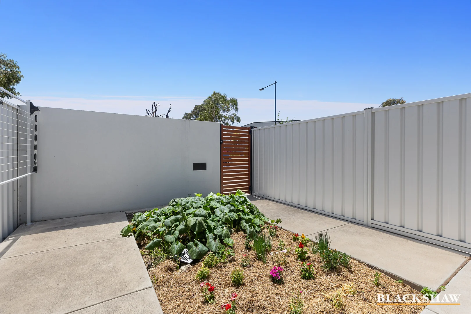 Additional image 14 of 6A Freshwater Street, Throsby ACT 2914