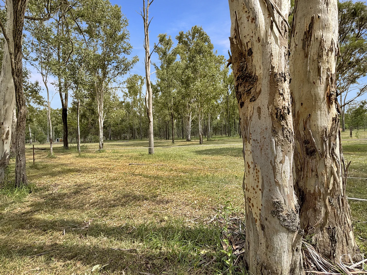 Additional image 36 of 91 Goebels Road, Mutdapilly QLD 4307