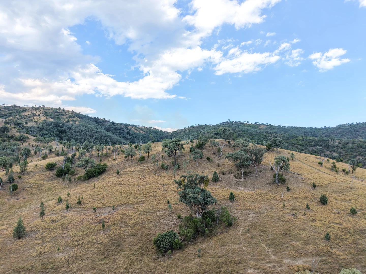 Additional image 21 of Lot 21 Gibraltar Road, Tenterfield NSW 2372