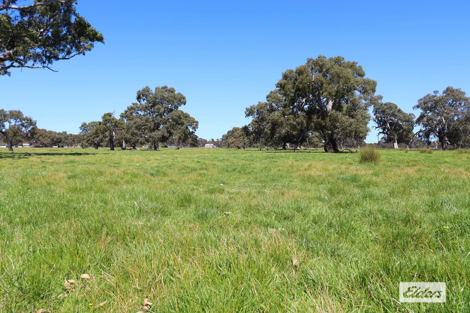 Additional image 15 of CA 91a 91b Mitchell Street, Glenthompson VIC 3293