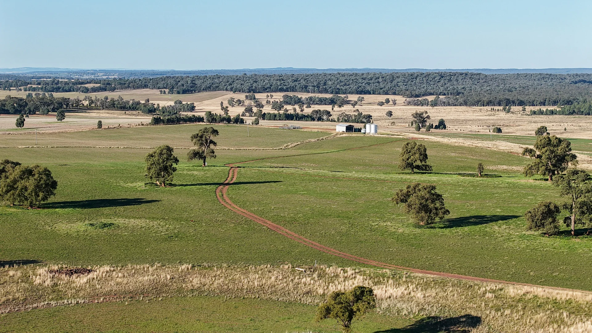 Additional image 18 of 38 Tallawonga Road, Elong Elong NSW 2831