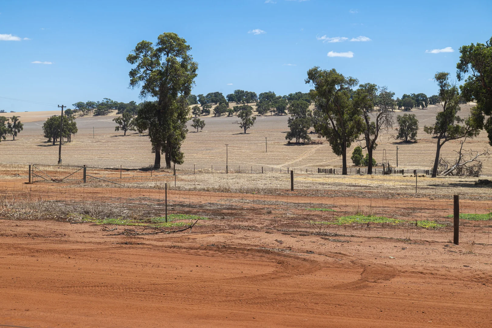 Additional image 12 of 1830 Rowes Road, Dandaragan WA 6507