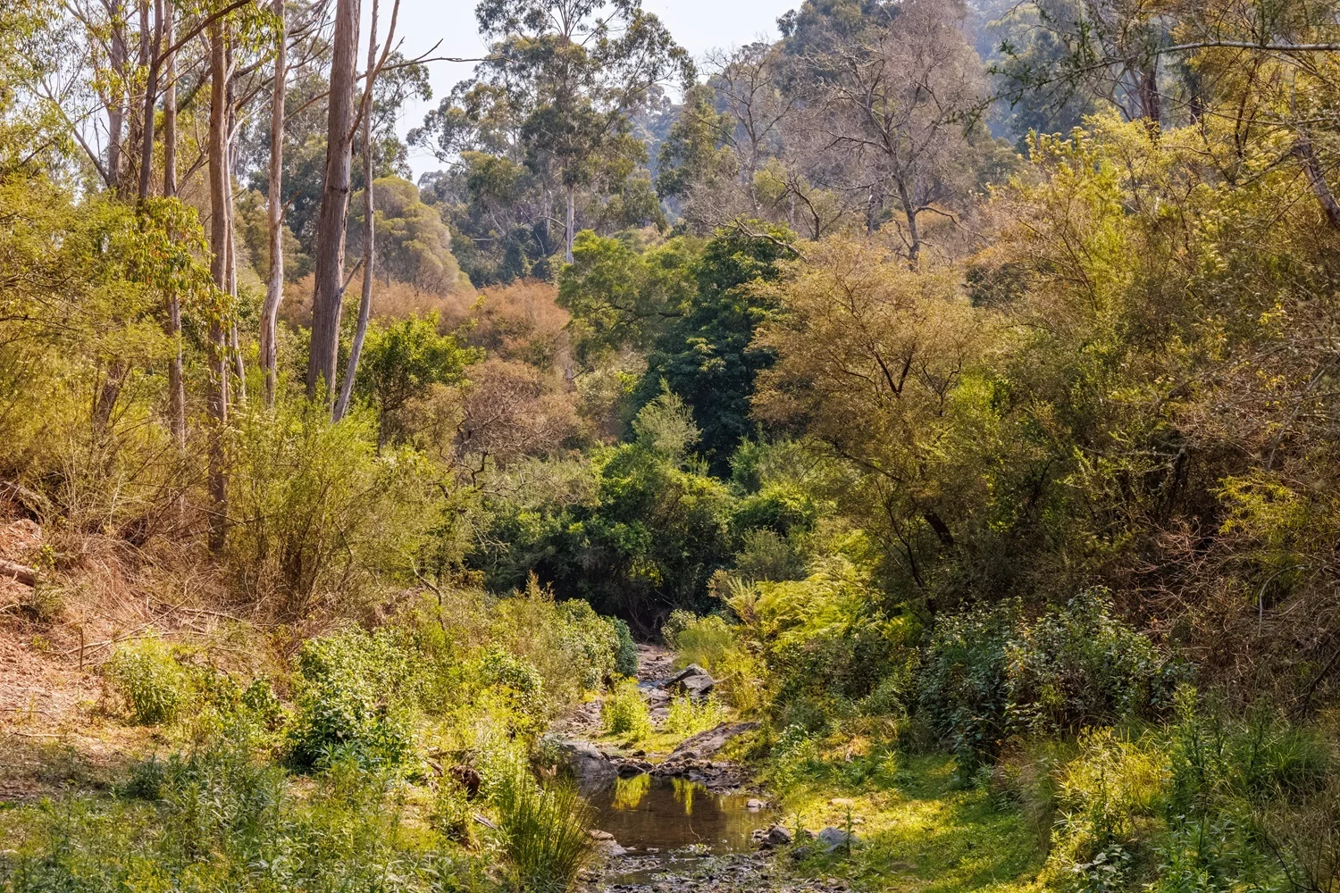 Additional image 7 of Lot 1122 Ruggs Road, Nethercote NSW 2549