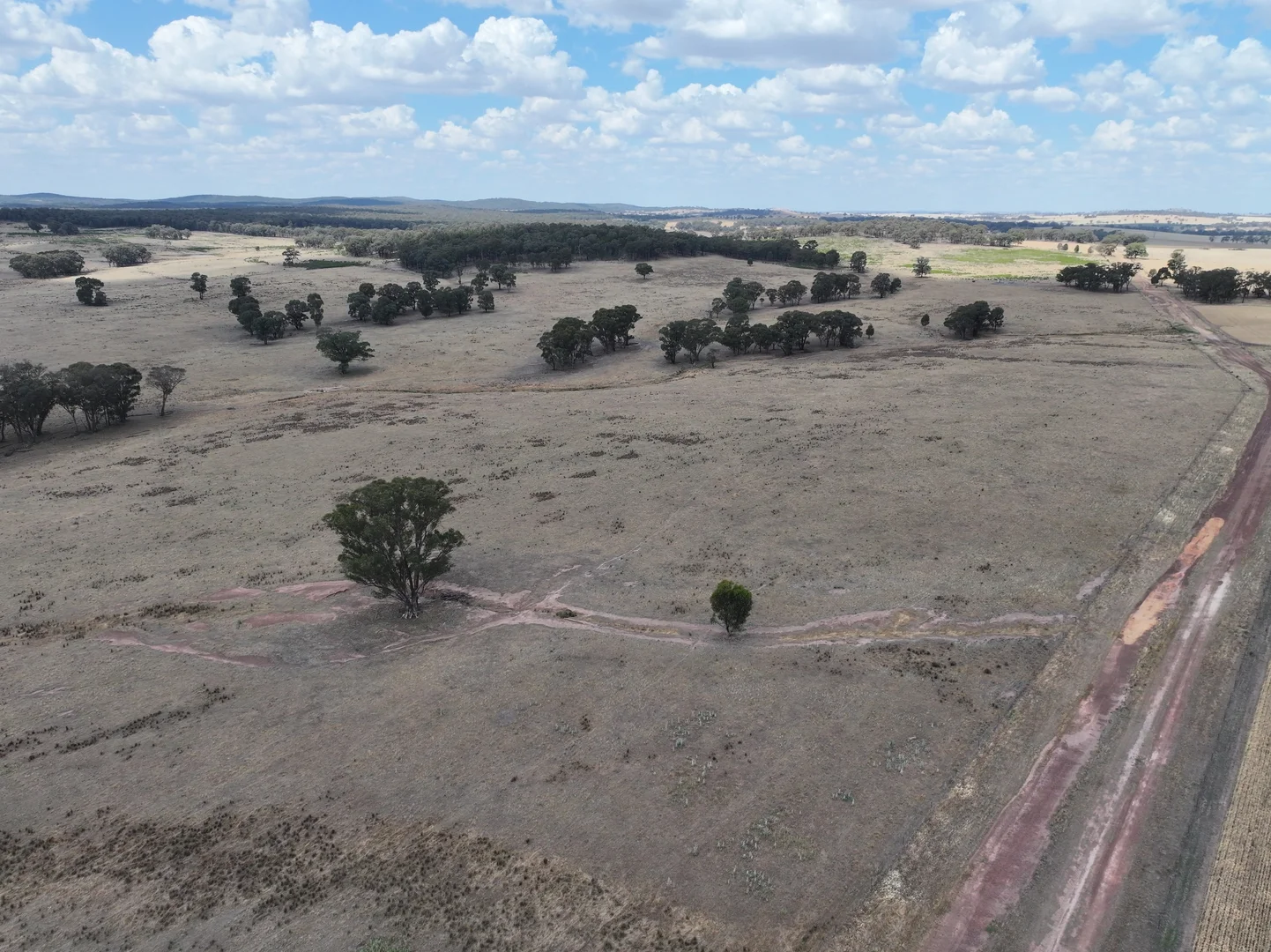 Additional image 9 of 'Quondi', Dirnaseer Road, Combaning NSW 2666