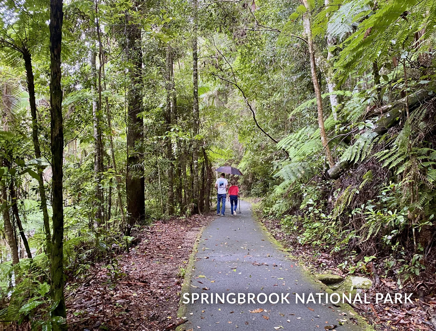 Additional image 36 of 1318 Currumbin Creek Road, Currumbin Valley QLD 4223