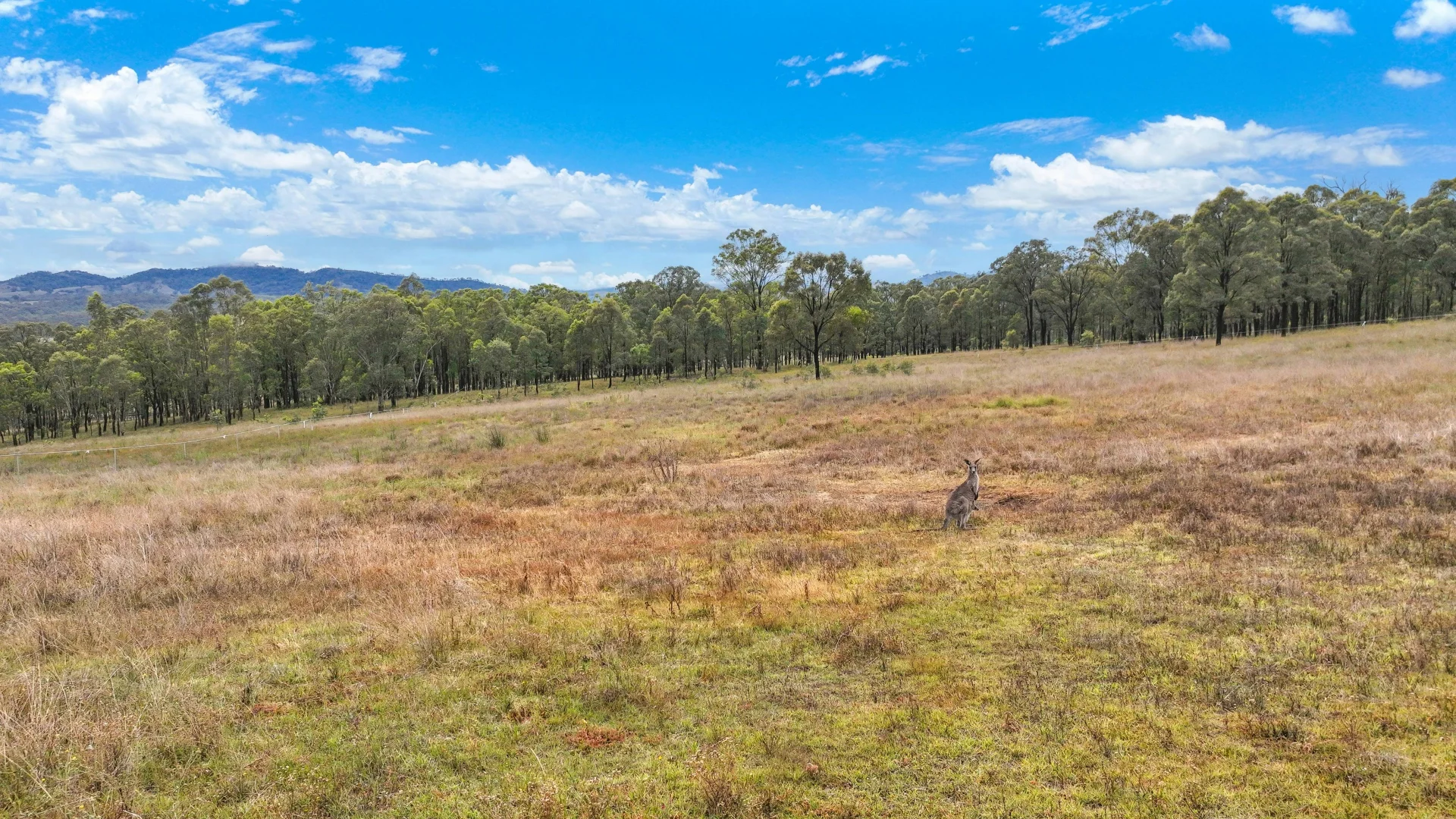 Additional image 12 of 5 Stage Woodland Ridge, Muswellbrook NSW 2333