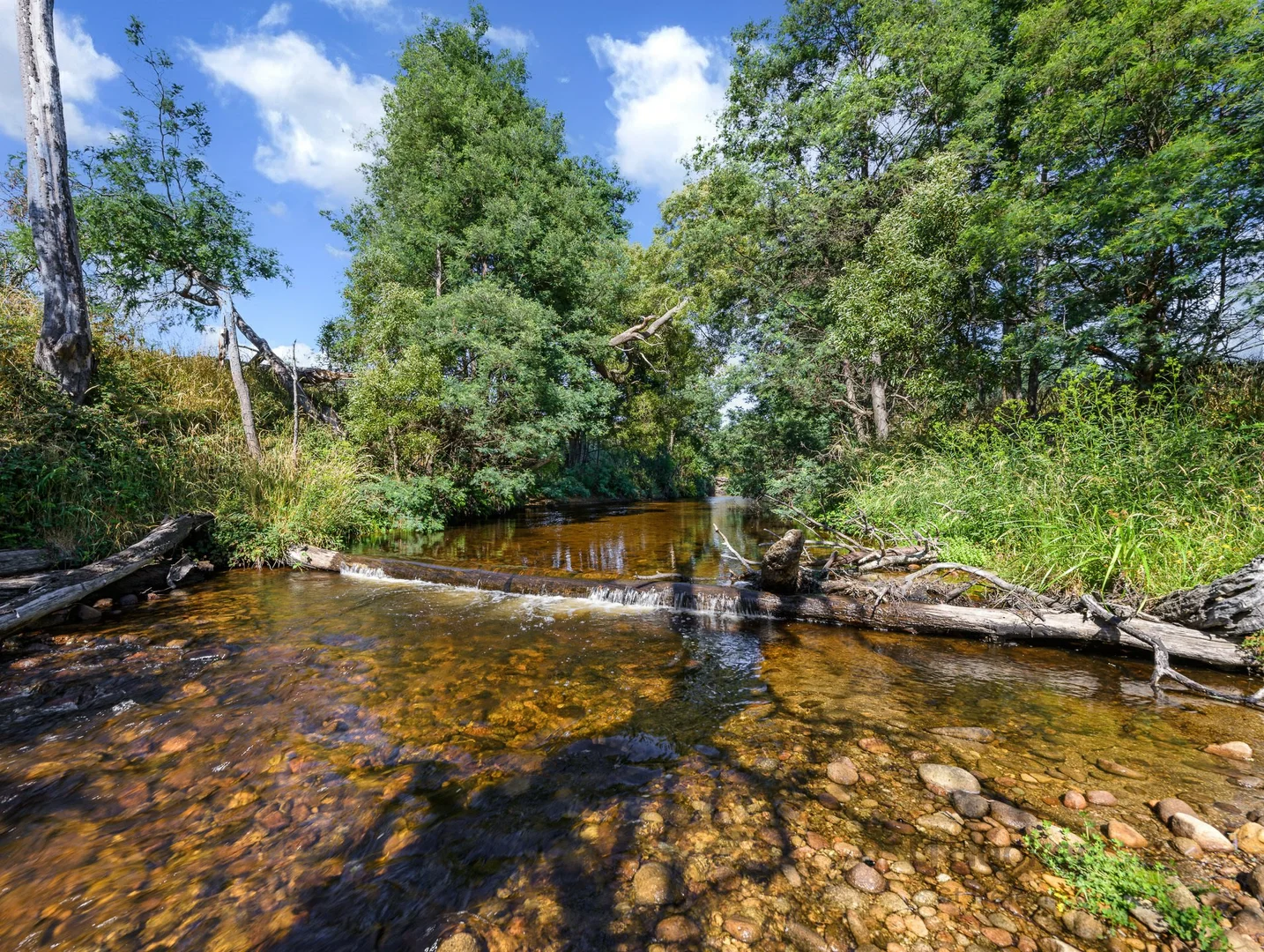 Additional image 4 of 96 Terrys Hill Road, Goshen TAS 7216