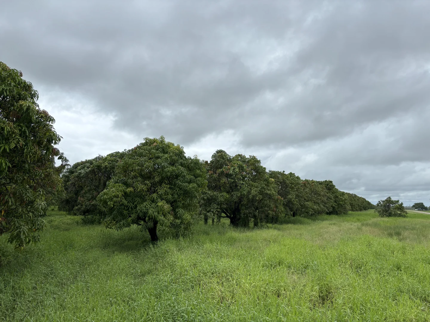 Additional image 3 of 425 Bartlett Road, Horseshoe Lagoon QLD 4809