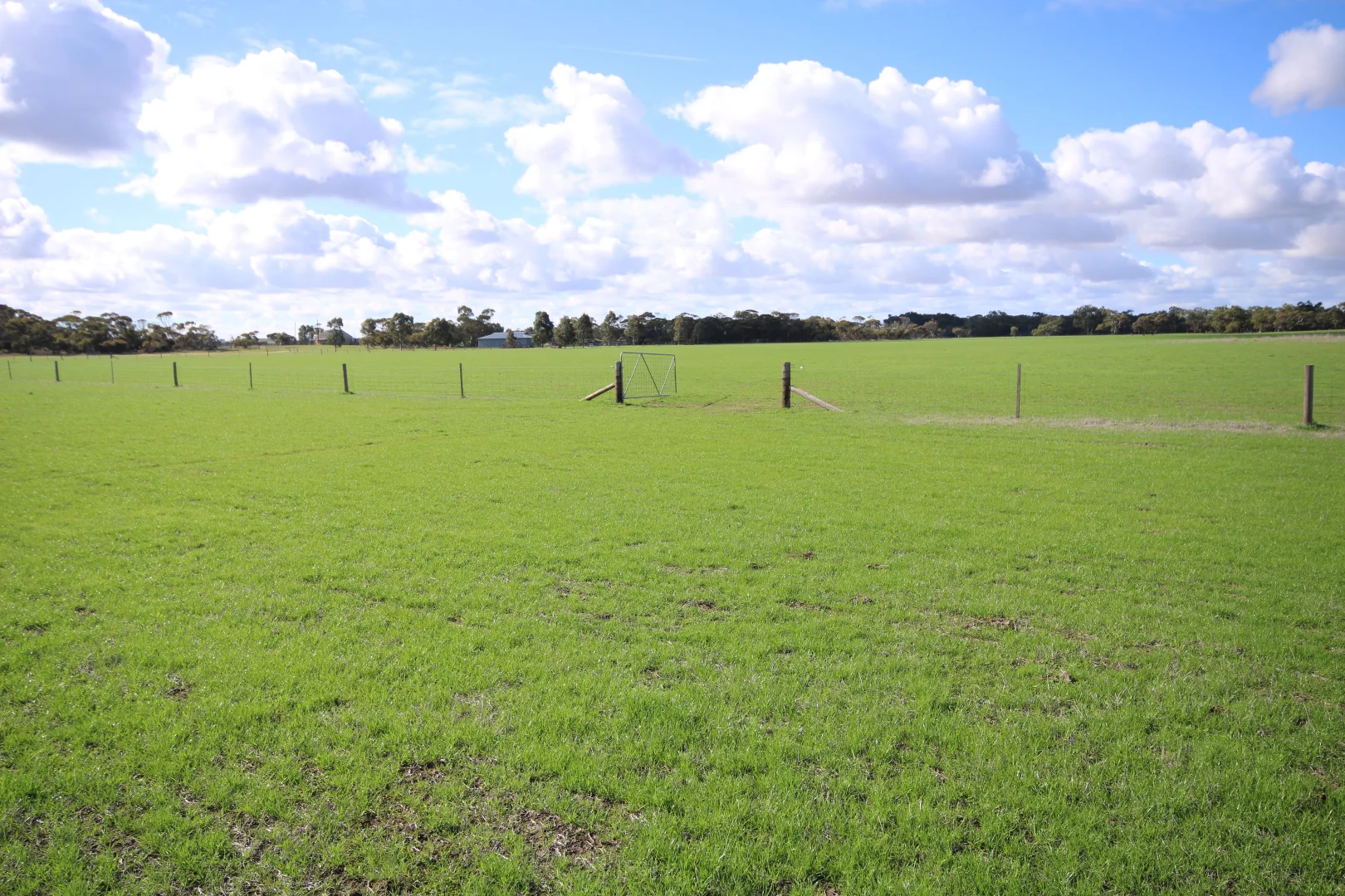 Additional image 50 of 381 & 907 Pascoe Road, Coonalpyn SA 5265