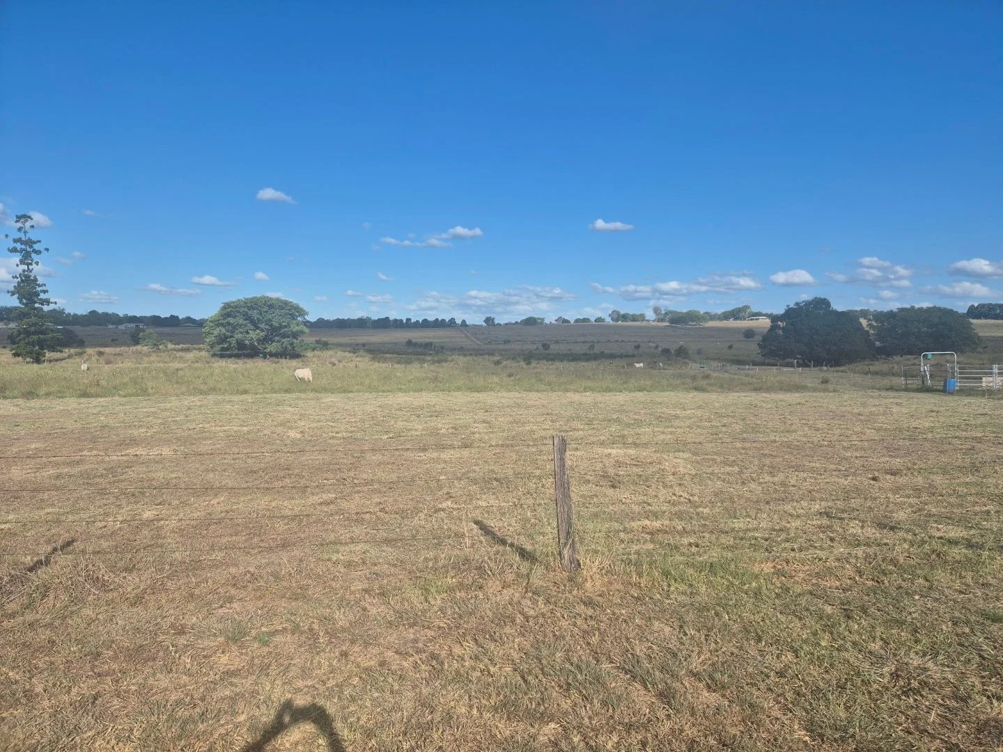 Additional image 3 of 167 Linnings Rd, Haigslea QLD 4306