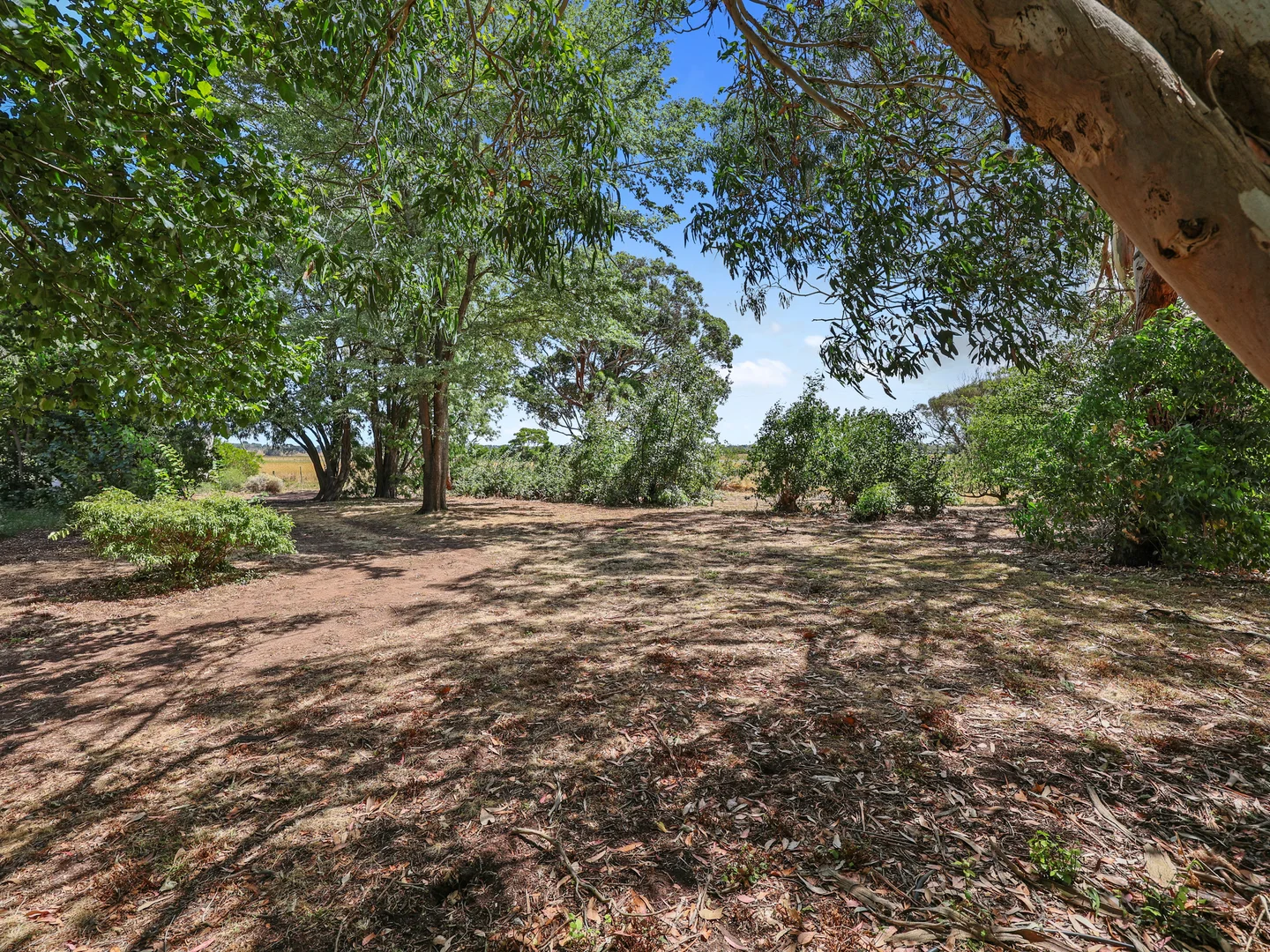 Additional image 12 of 8537 Princes Highway, Allestree VIC 3305
