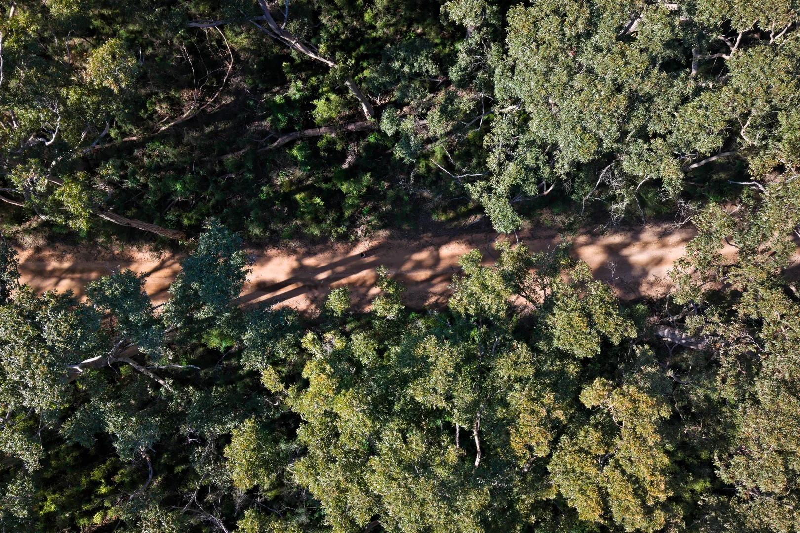 Additional image 20 of Lot PL 207 Sprigg Road, Witchcliffe WA 6286