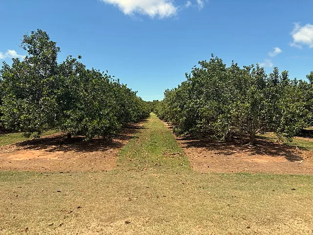 Additional image 13 of 195 Pashleys Road, Welcome Creek QLD 4670