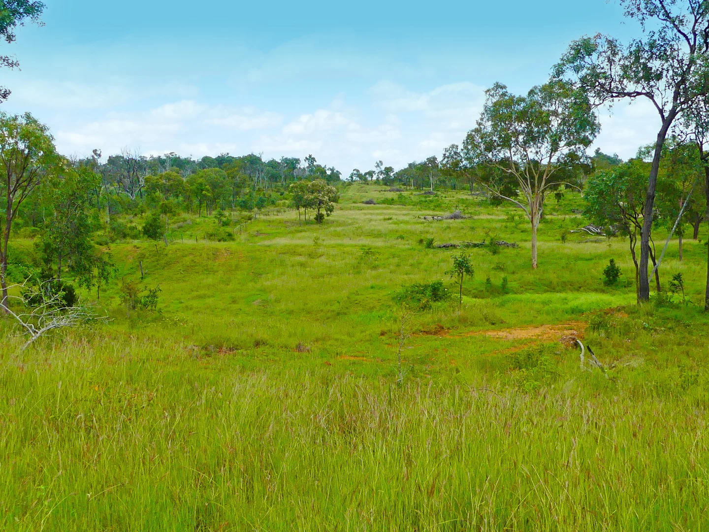 Additional image 14 of "Jacques " 0 Cunningham Road,, Nine Mile QLD 4702