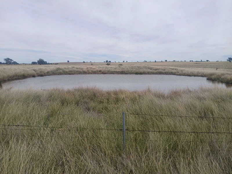 Additional image 19 of Tooraweenah NSW 2817