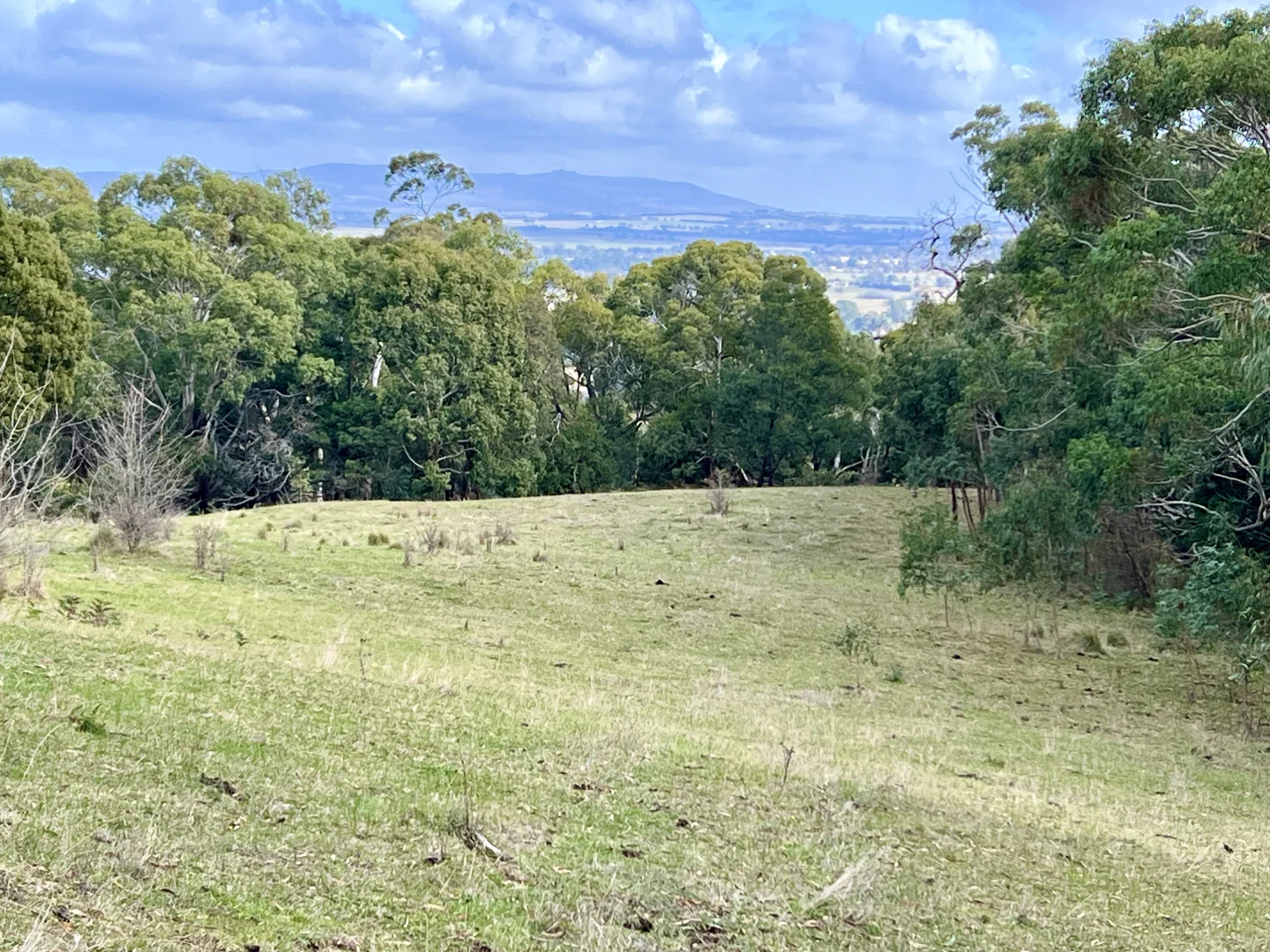 Additional image 22 of Red Gap Road/Fagans Lane, Goldie VIC 3435