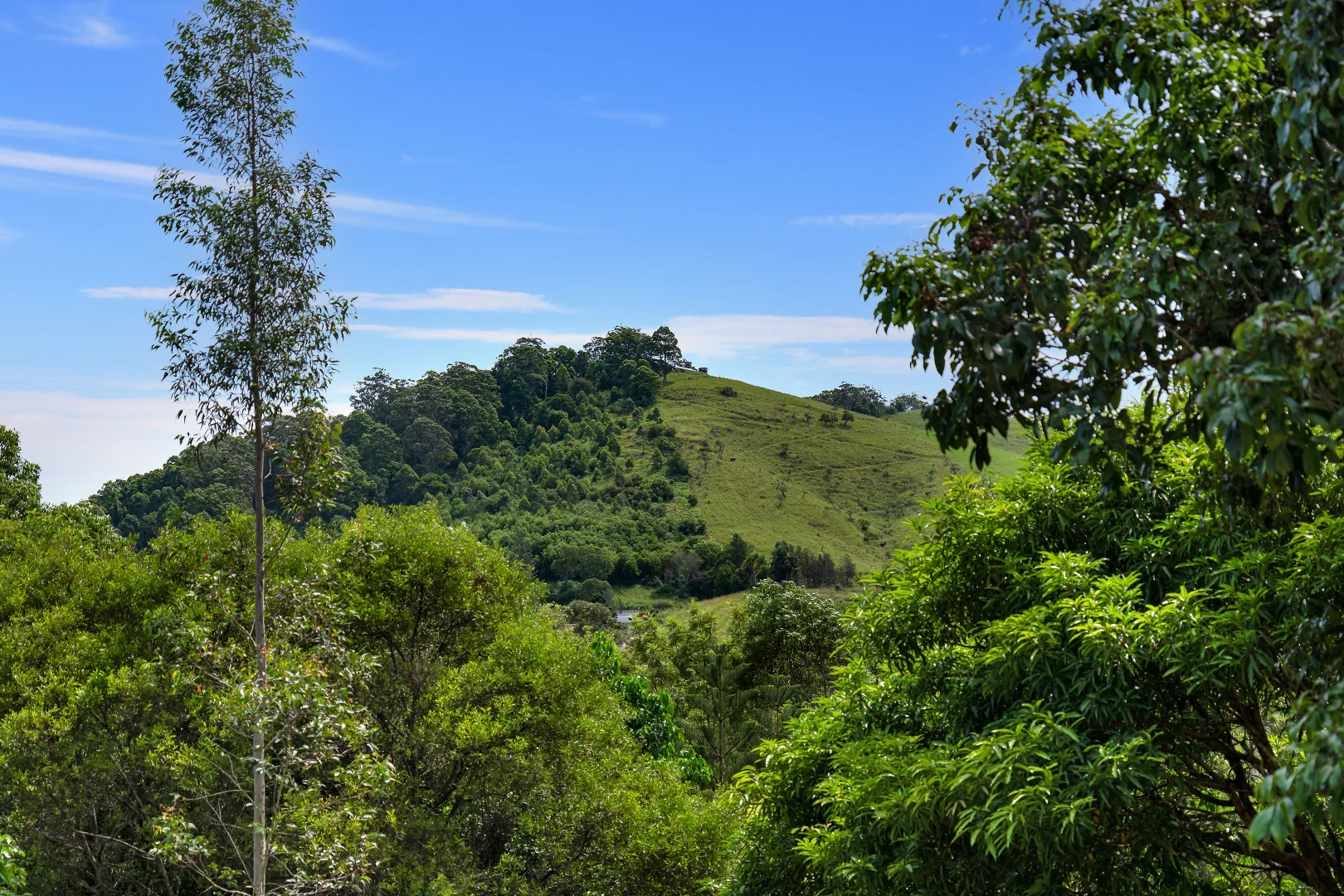 Additional image 4 of 2/8 SeaBreeze Place, Boambee East NSW 2452
