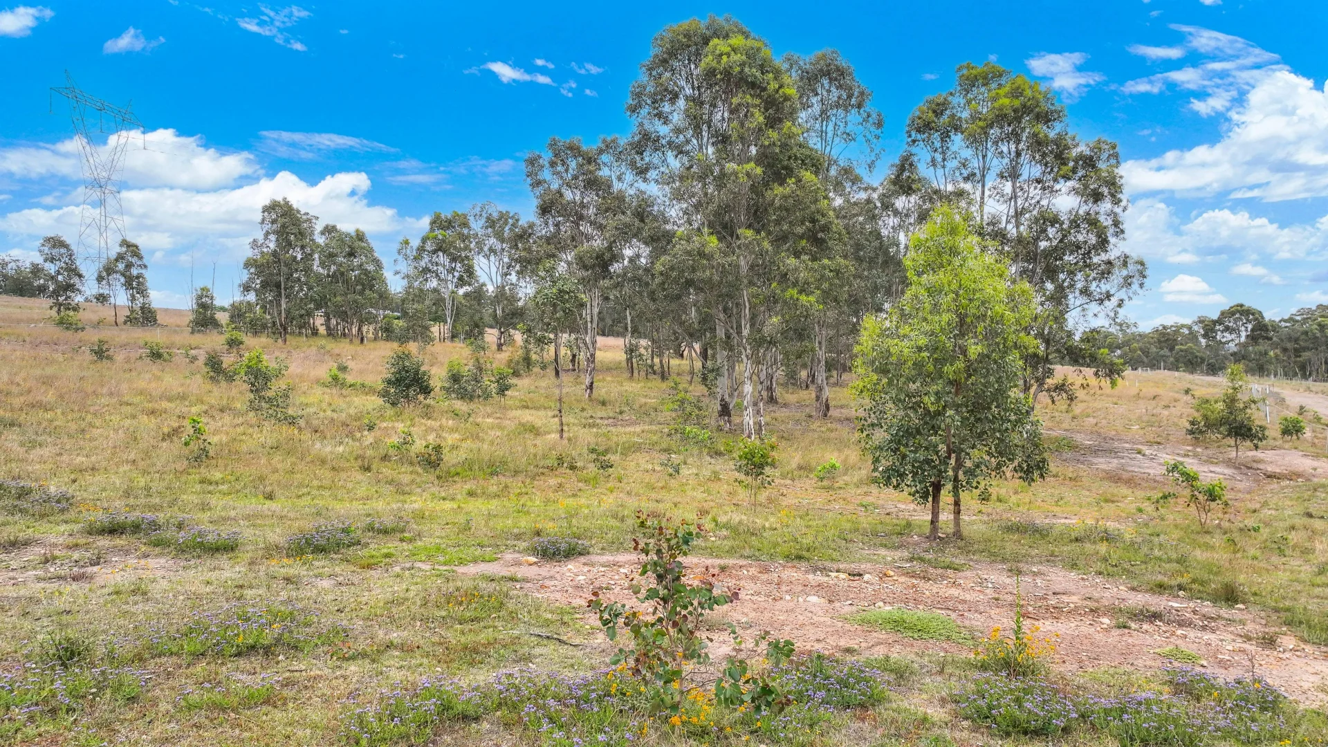 Additional image 7 of 5 Stage Woodland Ridge, Muswellbrook NSW 2333