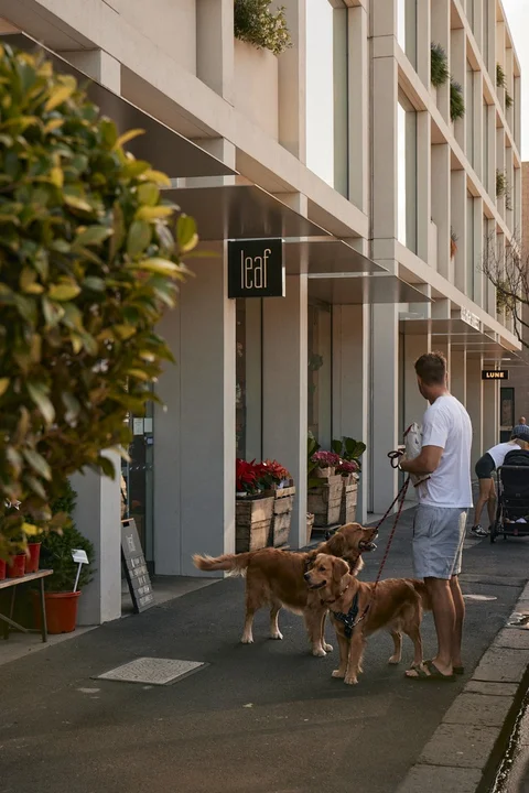 Additional image 19 of 646 High Street, Prahran VIC 3181