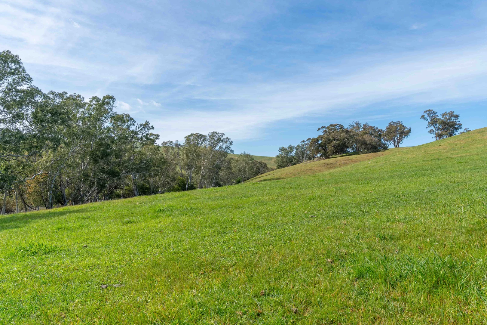 Additional image 7 of 362 Watchbox Road, Barfold VIC 3444