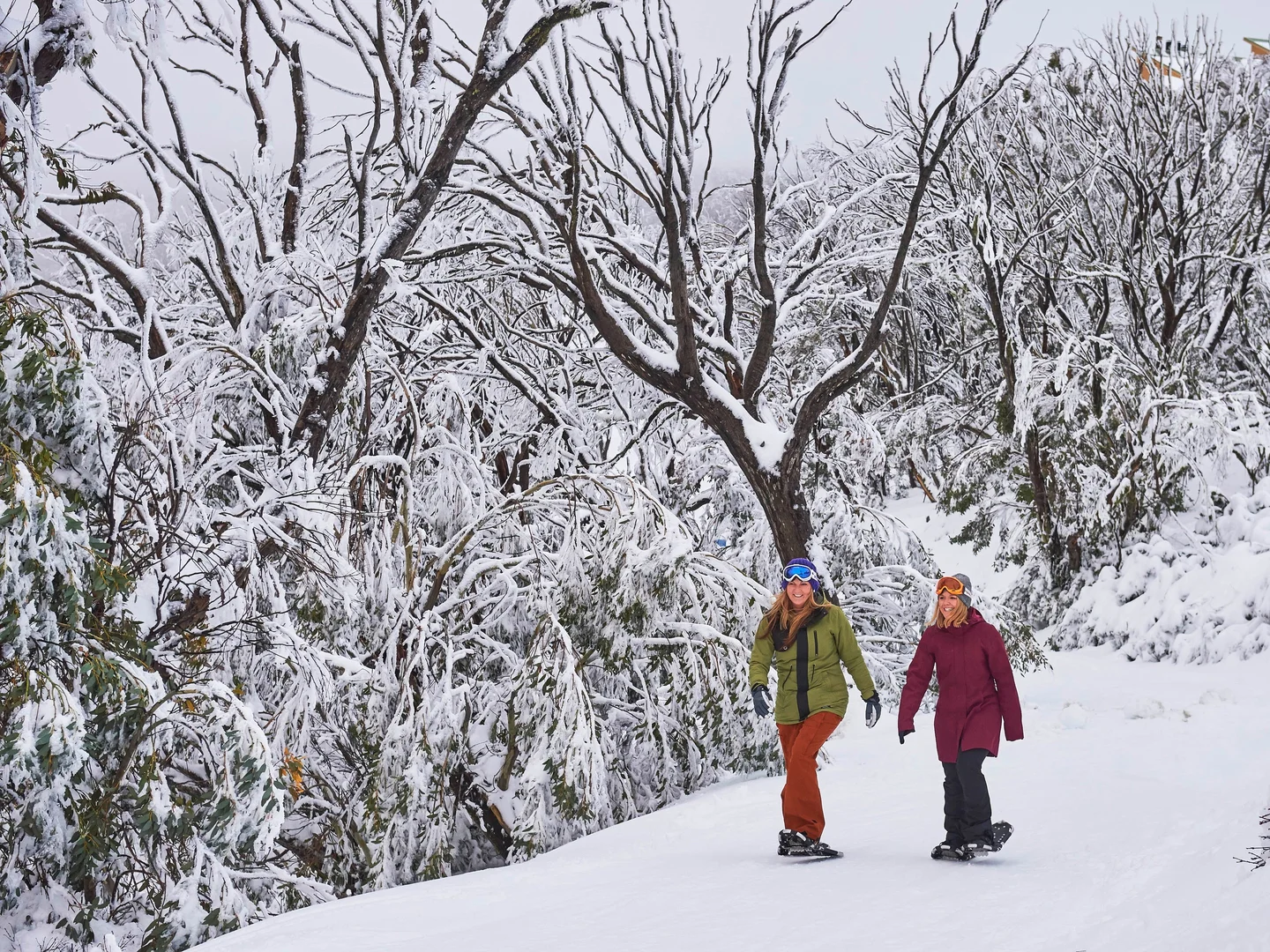 Additional image 42 of 2633 Mt Buller Road, Merrijig VIC 3723