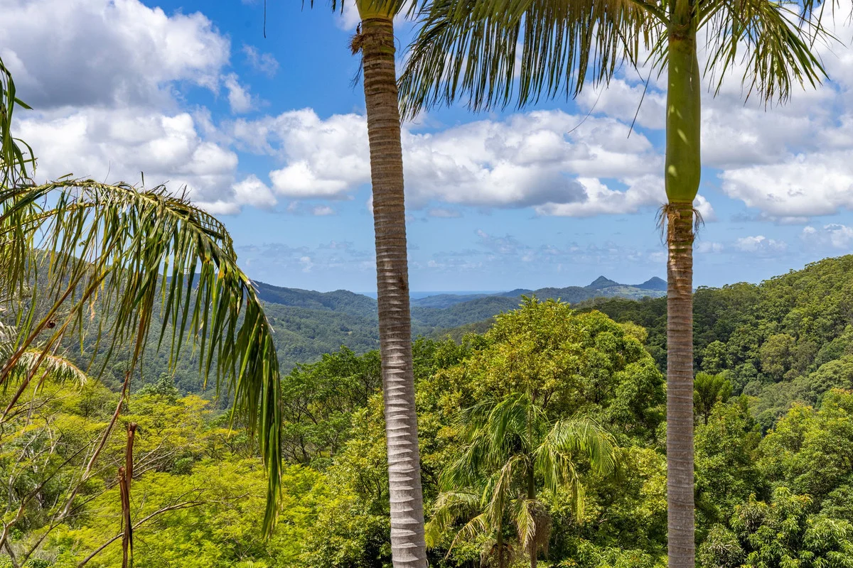 Additional image 30 of 109 Motts Road, Upper Main Arm NSW 2482