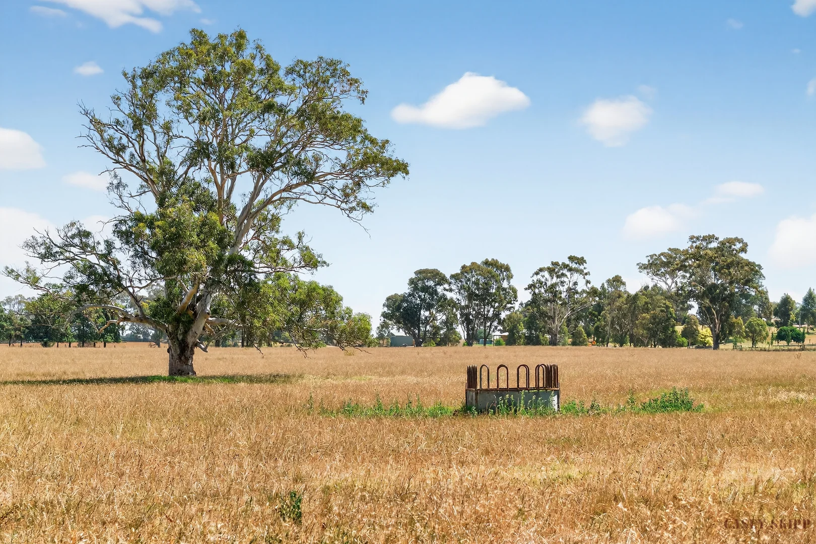 Additional image 3 of 2/440 Nicholson-Sarsfield Road, Sarsfield VIC 3875