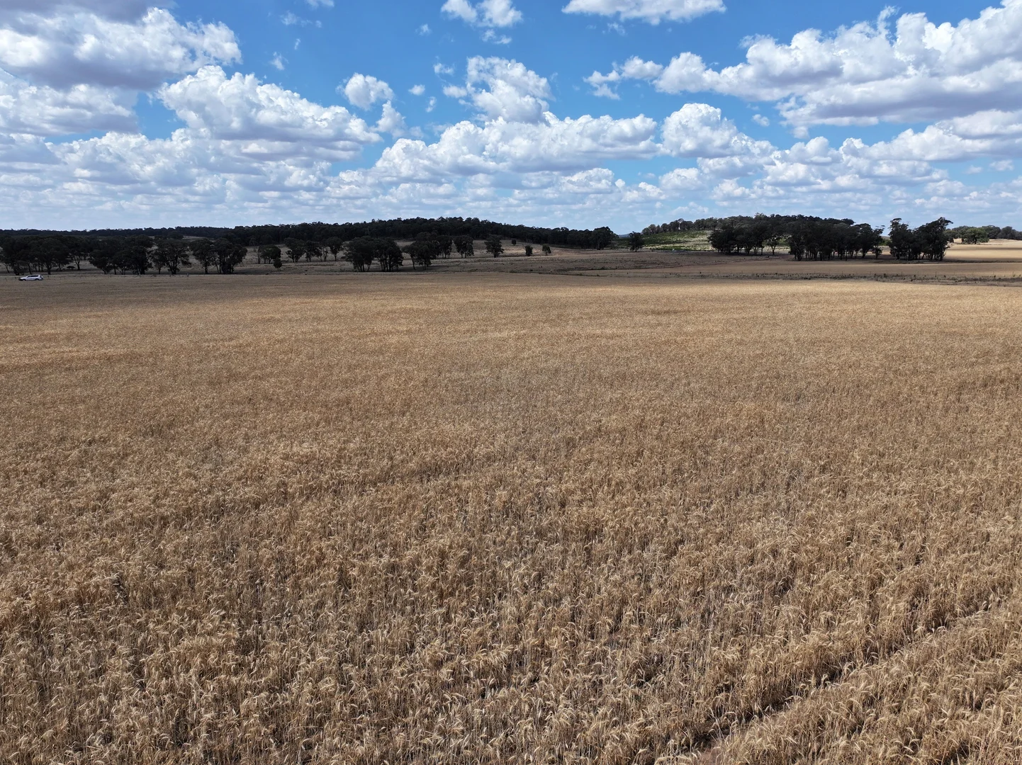 Additional image 5 of 'Quondi', Dirnaseer Road, Combaning NSW 2666