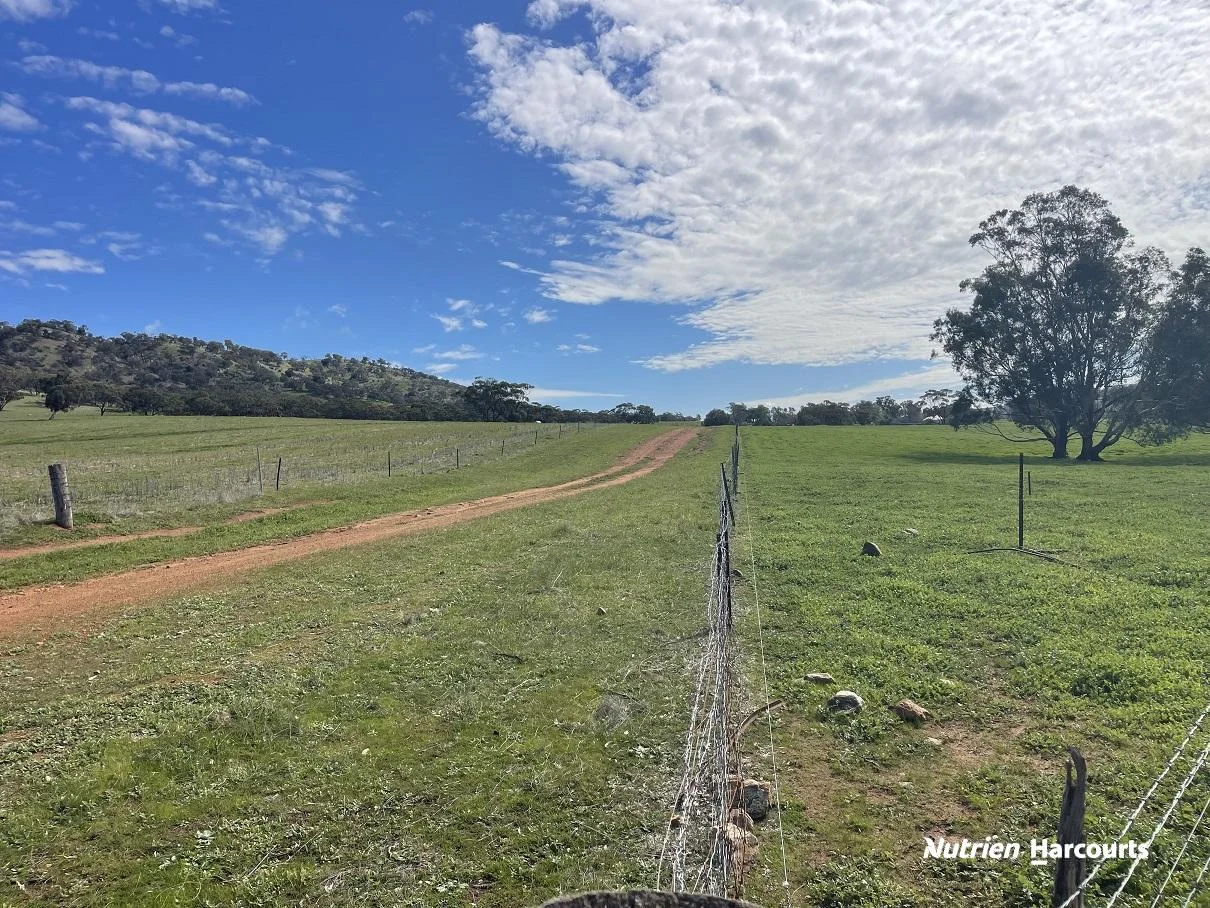 Additional image 15 of 967 Northam-Toodyay Road, Katrine WA 6401