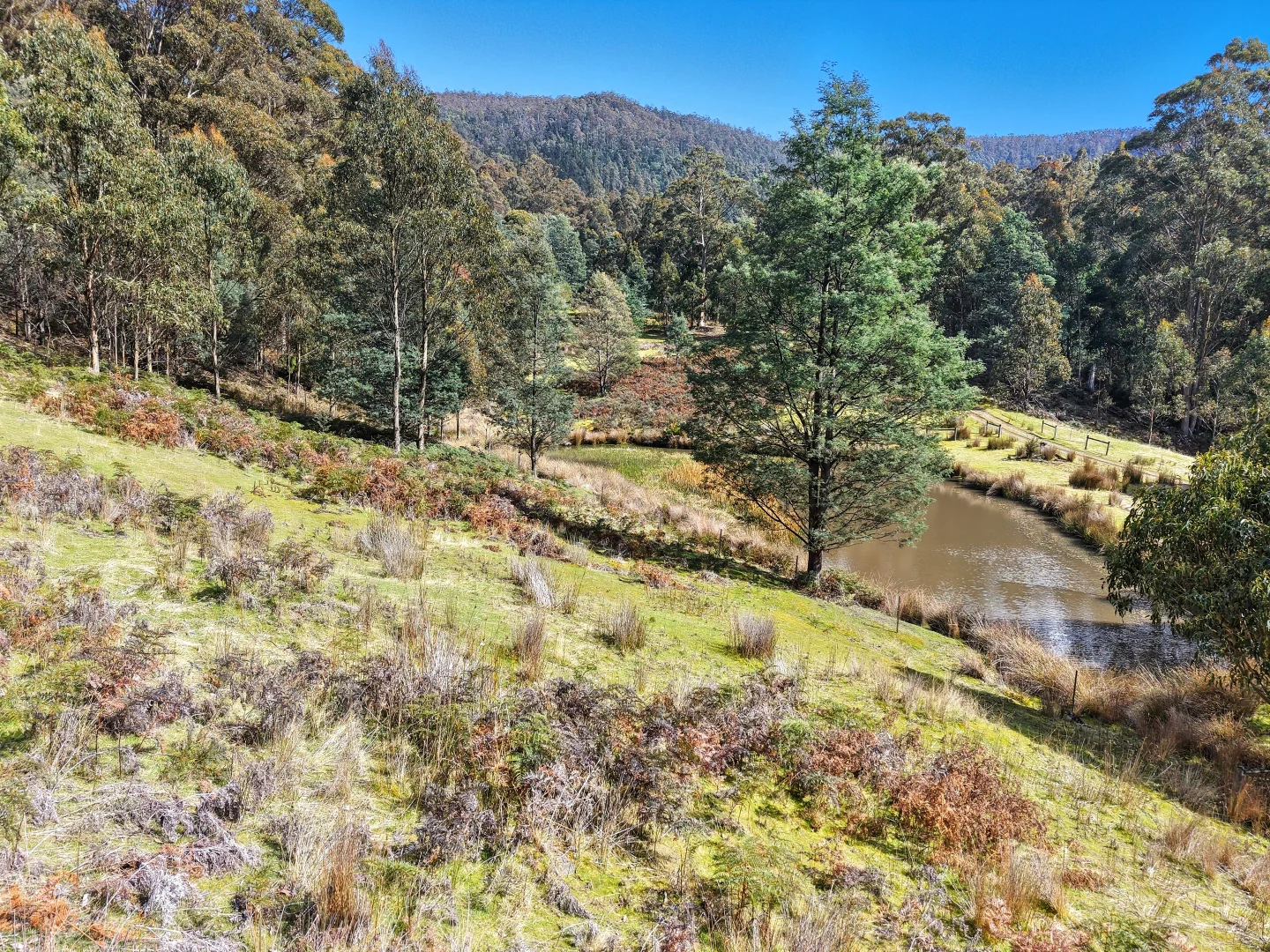 Additional image 5 of Lucaston TAS 7109